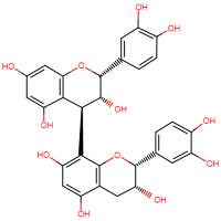 Procyanidin B2