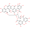 pdtdbl00086