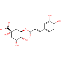 Chlorogenic acid