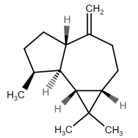 Aromadendrene