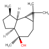 pdtdbl00151