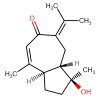 pdtdbl00166