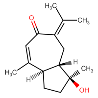 Procurcumenol