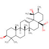 pdtdbl00195
