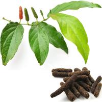 Long Pepper