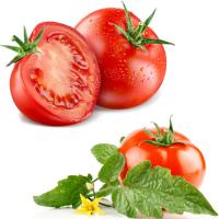 Tomato