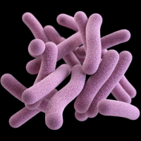 Tuberculosis