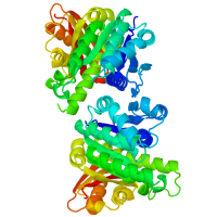 Cell Division Protein FtsZ from Mycobacterium Tuberculosis