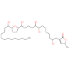 pdtdbl00203